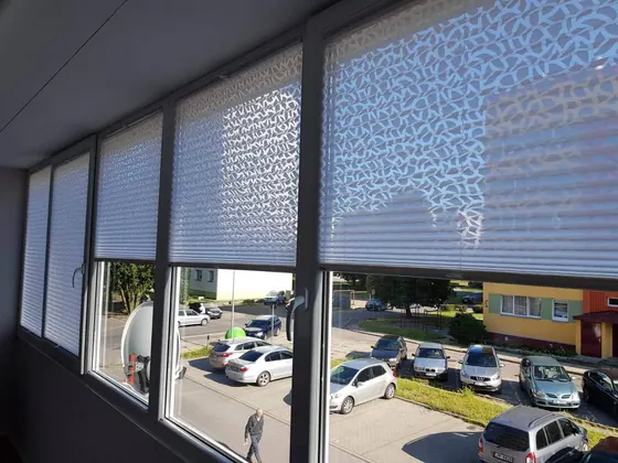 Žalūzijas: paveiktais darbs 18